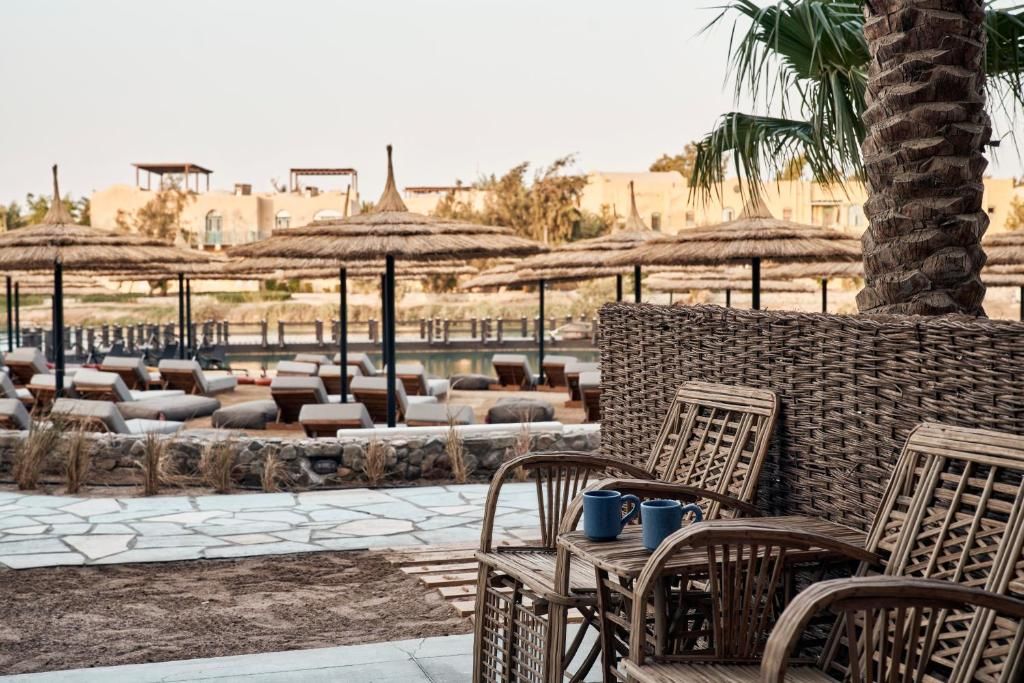 Cook's Club El Gouna (Adults Only) фото 28
