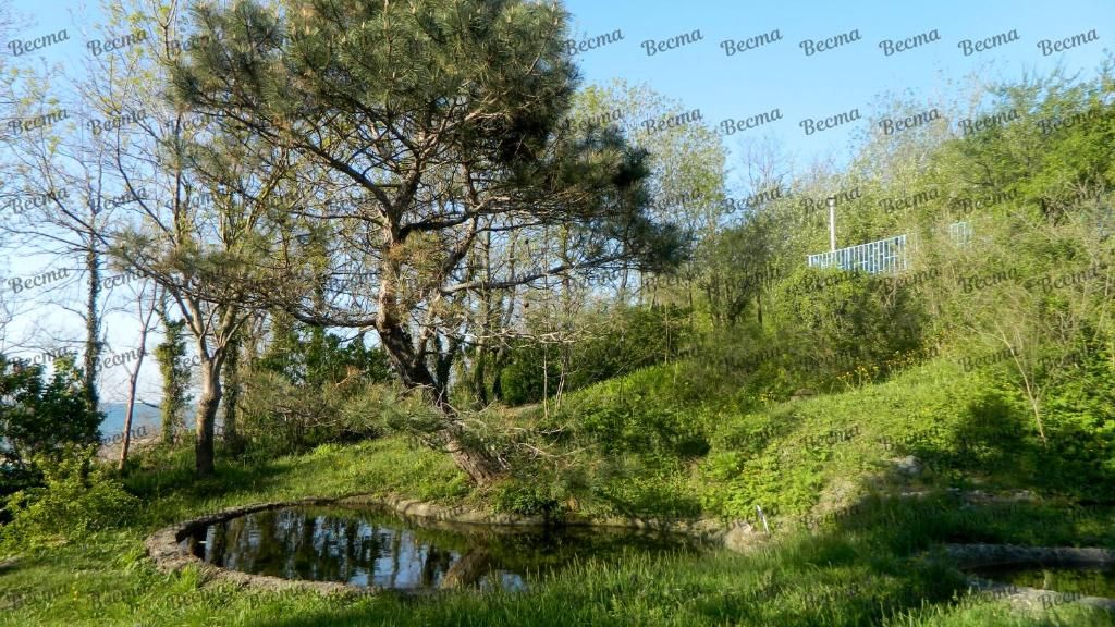 Гостевой дом «Веста» фото 6