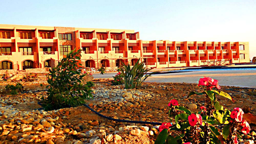 Viva Blue Resort & Diving Sharm El Naga (Adults Only) фото 45