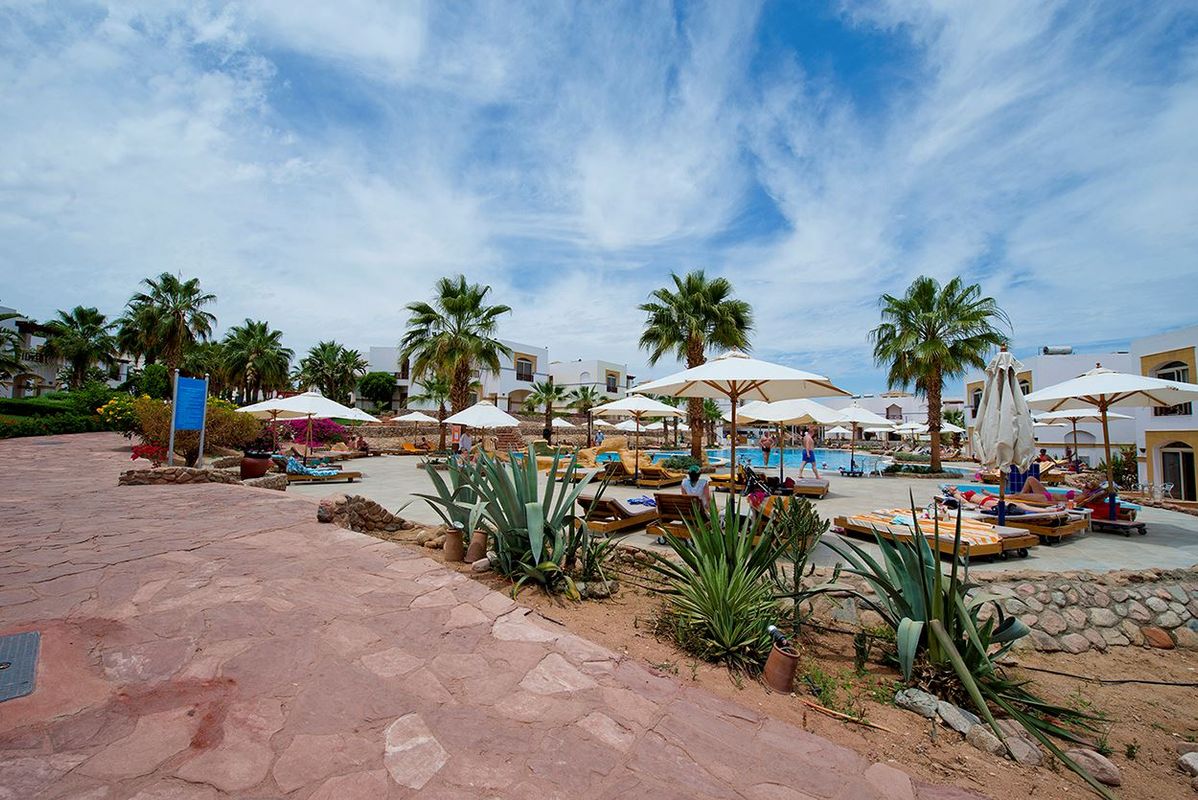 Amphoras Blu Hotel (Adults Only) фото 50
