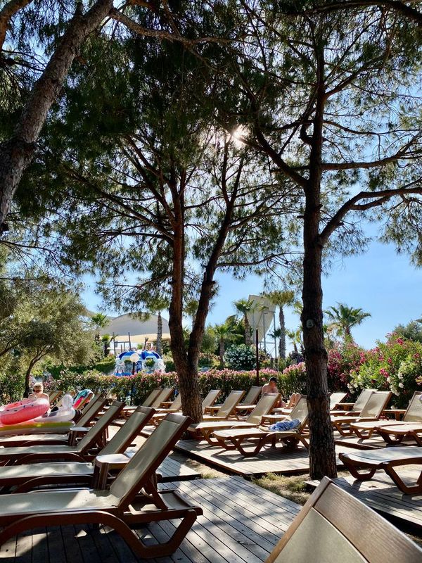 Pine Bay Holiday Resort фото 74
