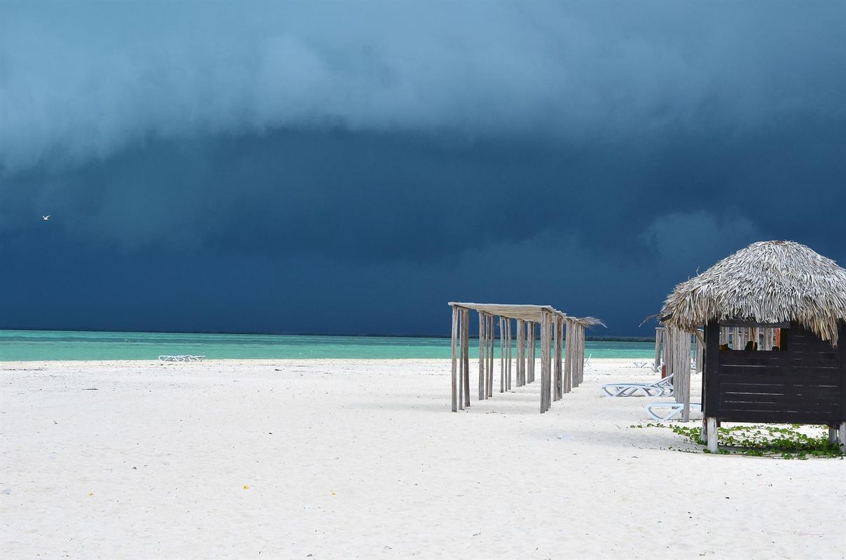 Gran Caribe Club Cayo Guillermo фото 12