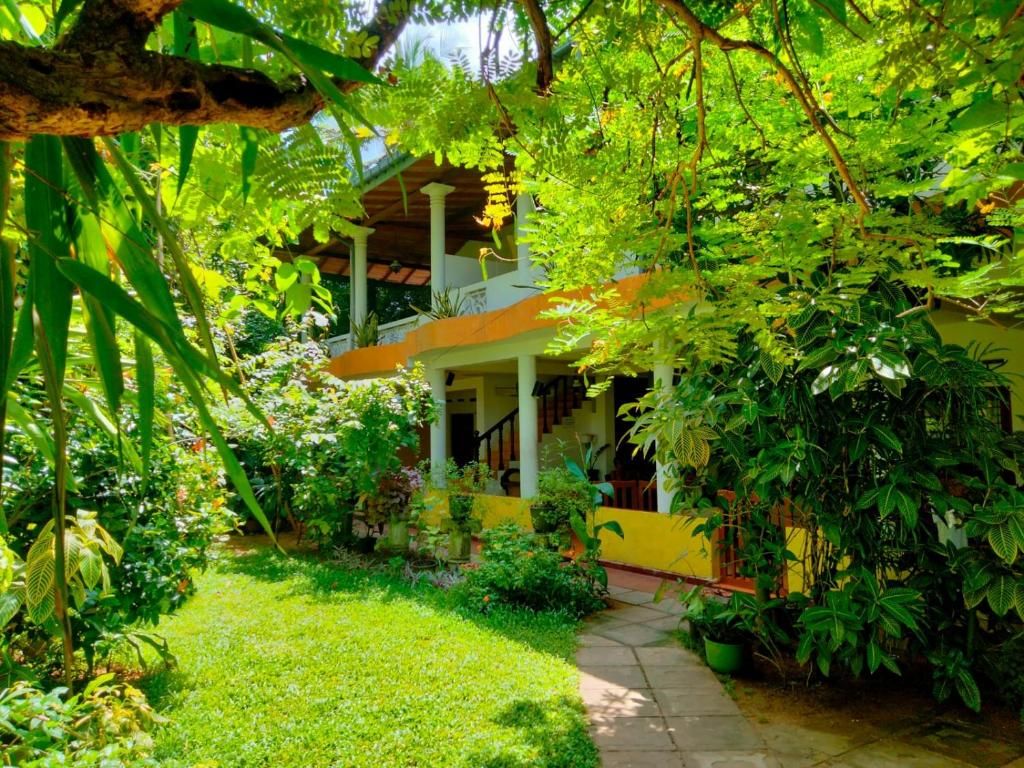 Гостевой дом «C-Lanka Guest House» фото 21