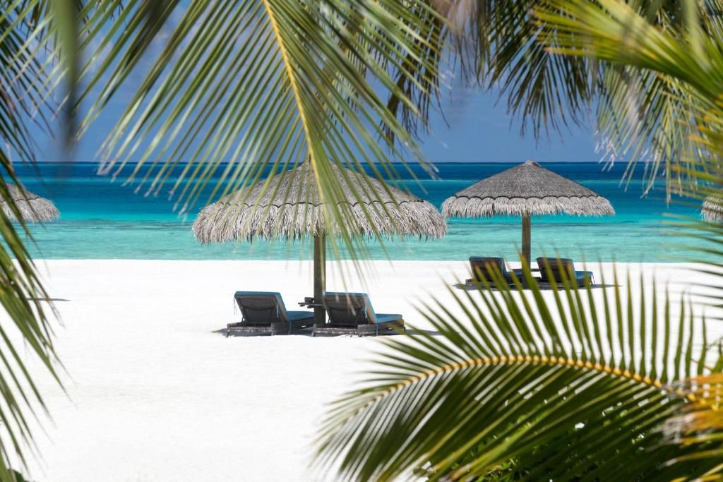 Constance Moofushi Maldives фото 56