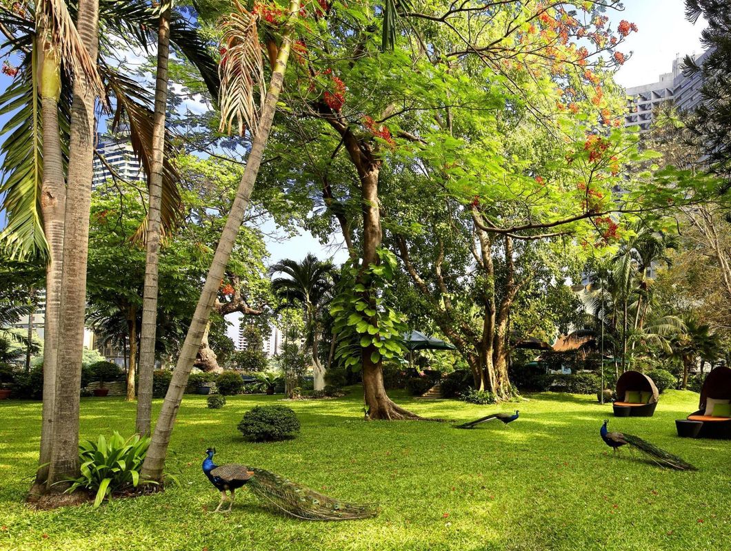Royal Orchid Sheraton Hotel & Towers фото 25