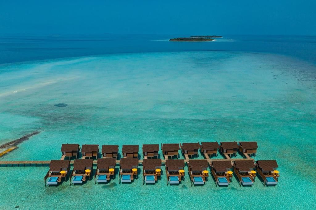 Dhigufaru Island Resort фото 64