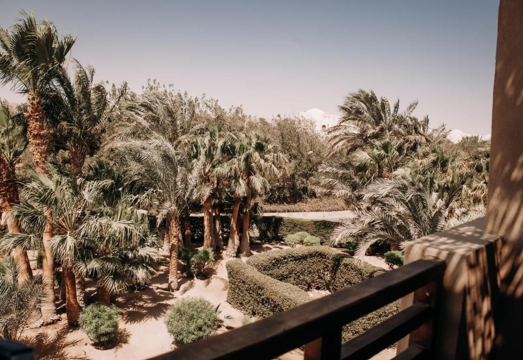 Cook's Club El Gouna (Adults Only) фото 27