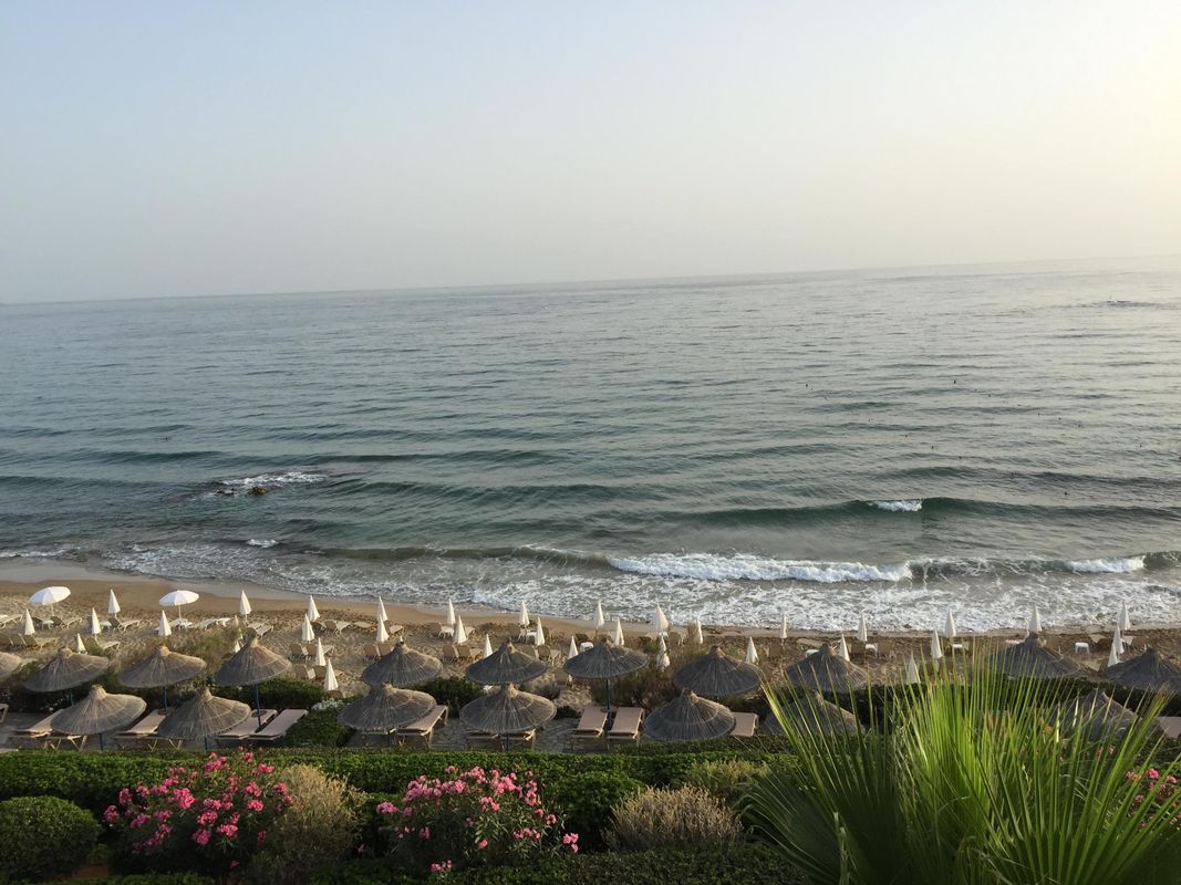 Alexander Beach Hotel & Village фото 8