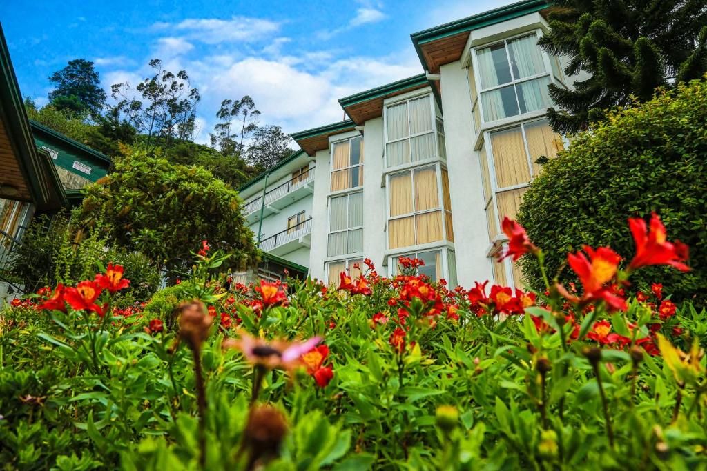 Oakray Summer Hill Breeze фото 41