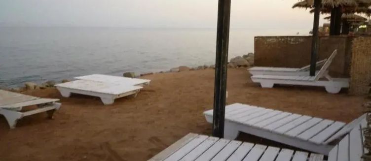 Фото отеля Dolphin Camp