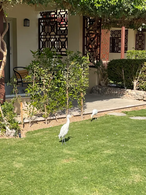 Imperial Shams Abu Soma Resort фото 71