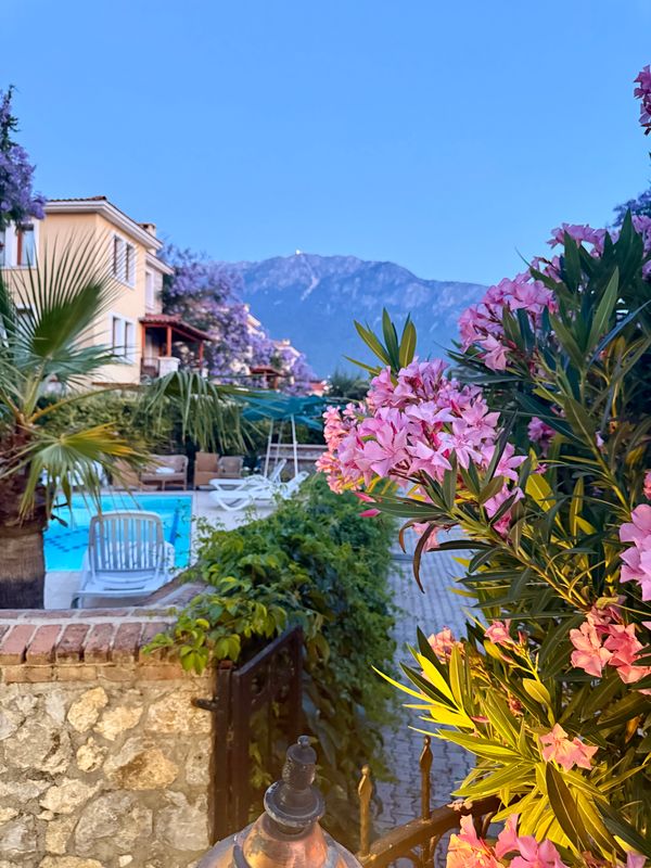 Perdikia Hill Family Resort & Villas фото 48