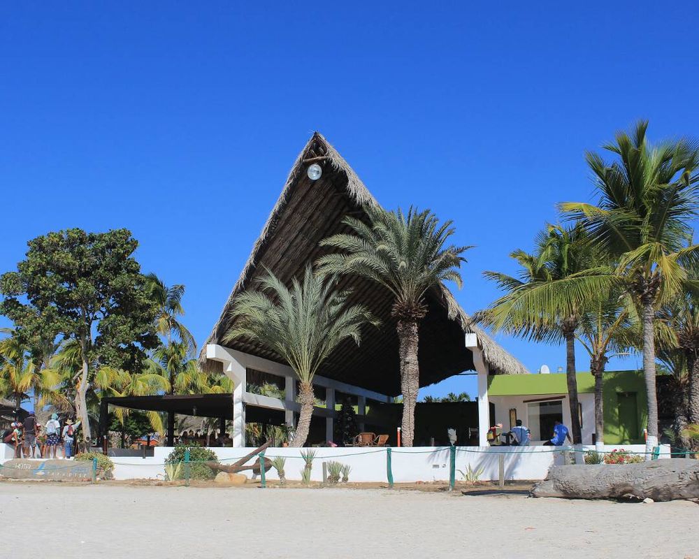 Paradise Coche фото 16