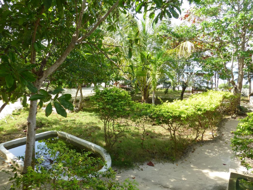 Talima Beach Villas & Dive Resort фото 5