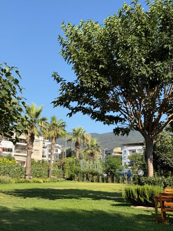 Hotel Akbulut & Spa фото 31