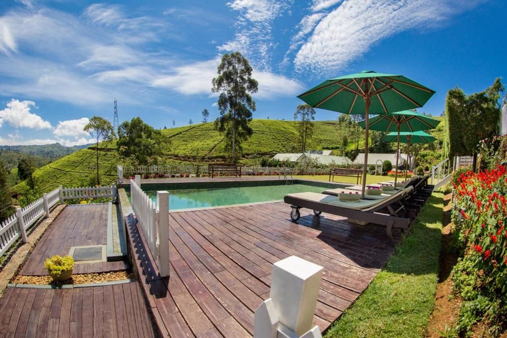 Amaya Langdale Nuwara Eliya фото 44