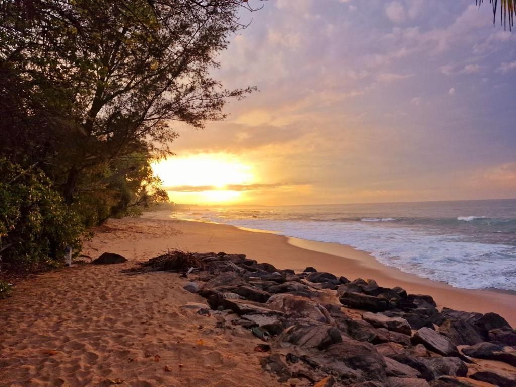 Panorama Beach Hotel фото 41