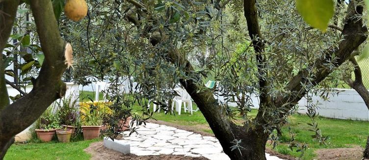 Фото отеля B&B Il Girasole