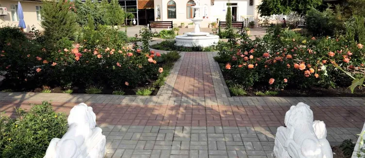 Фото отеля Альтернатива