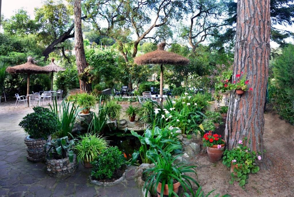 Hostal Magnolia фото 47