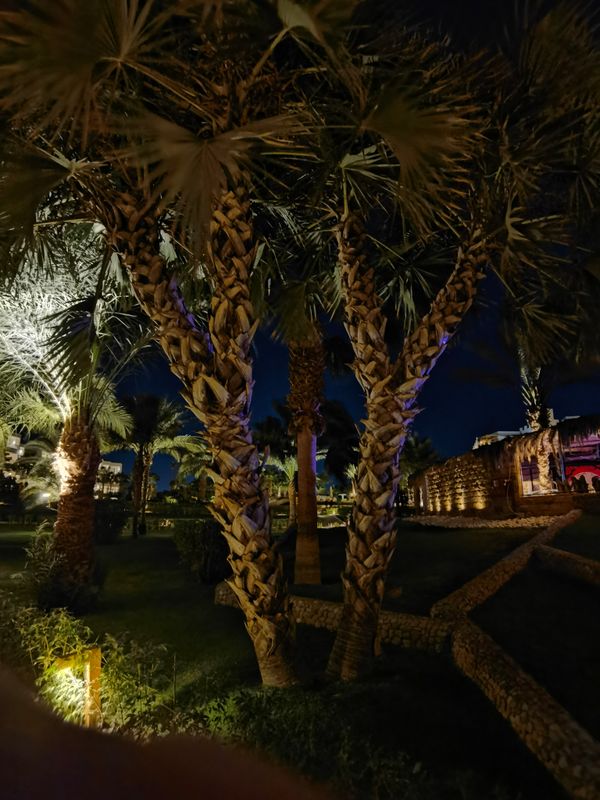 Fort Arabesque Resort, Spa & Villas фото 51