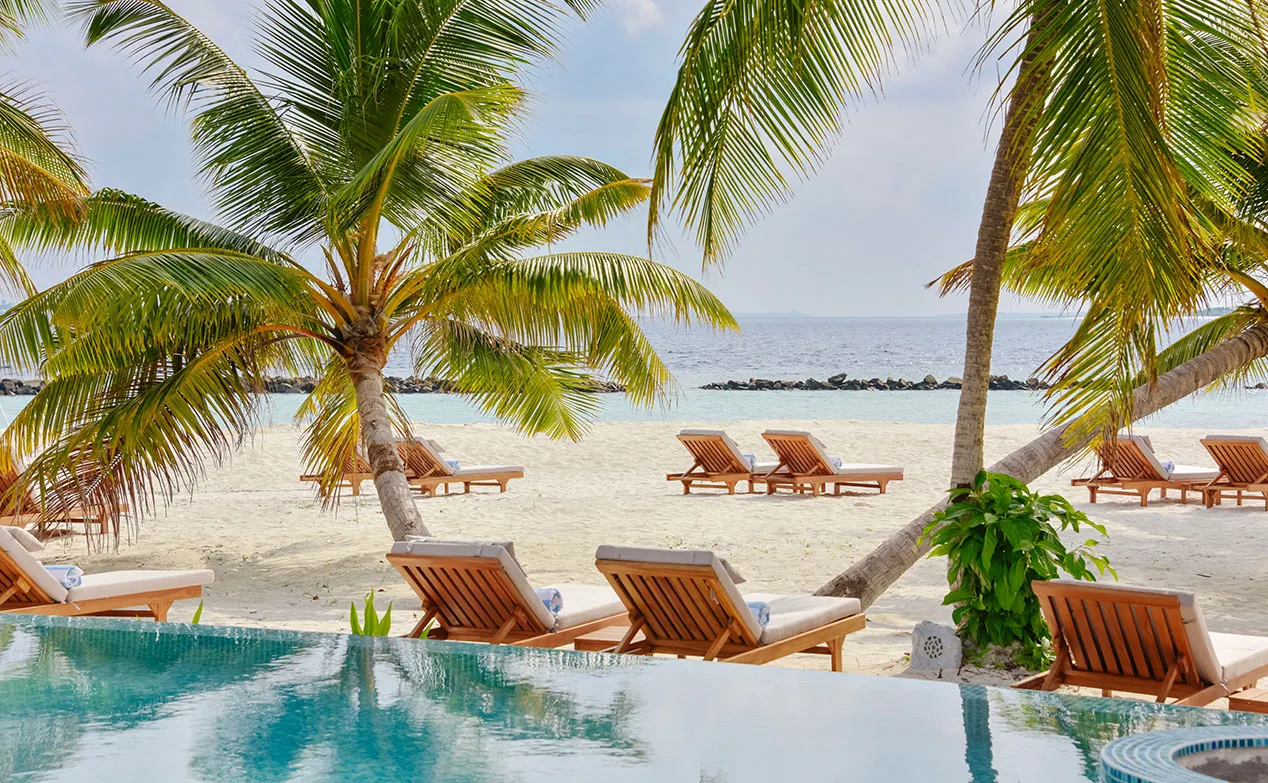 Niva Dhigali Maldives фото 9