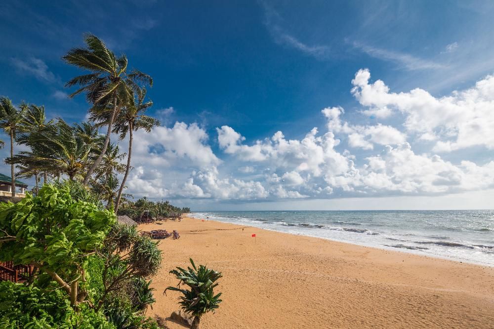 Mount Lavinia Hotel фото 29
