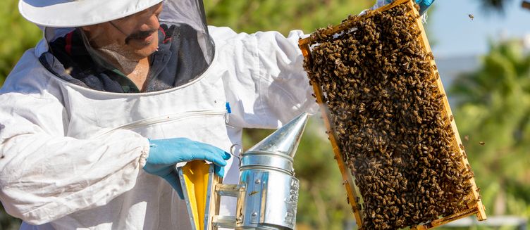 Фото отеля Labranda Lebedos Princess