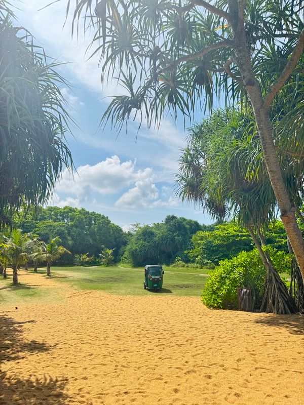 Avani Kalutara Resort фото 34