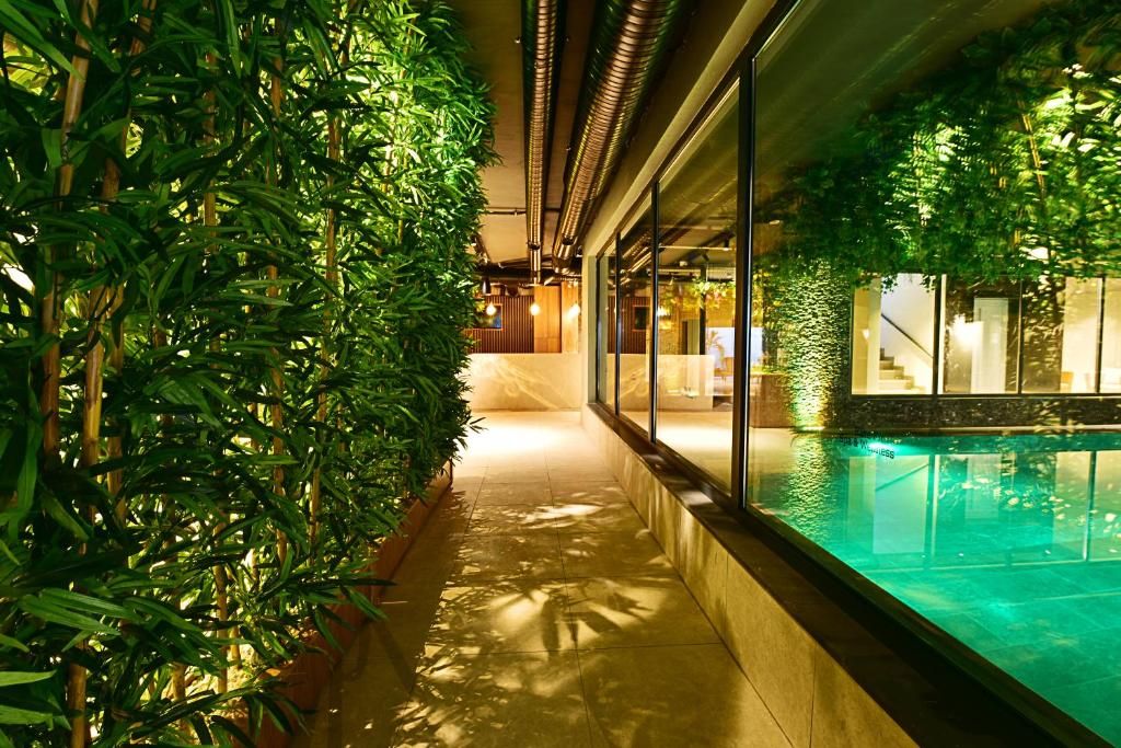 Jasmin Elite Residence фото 15