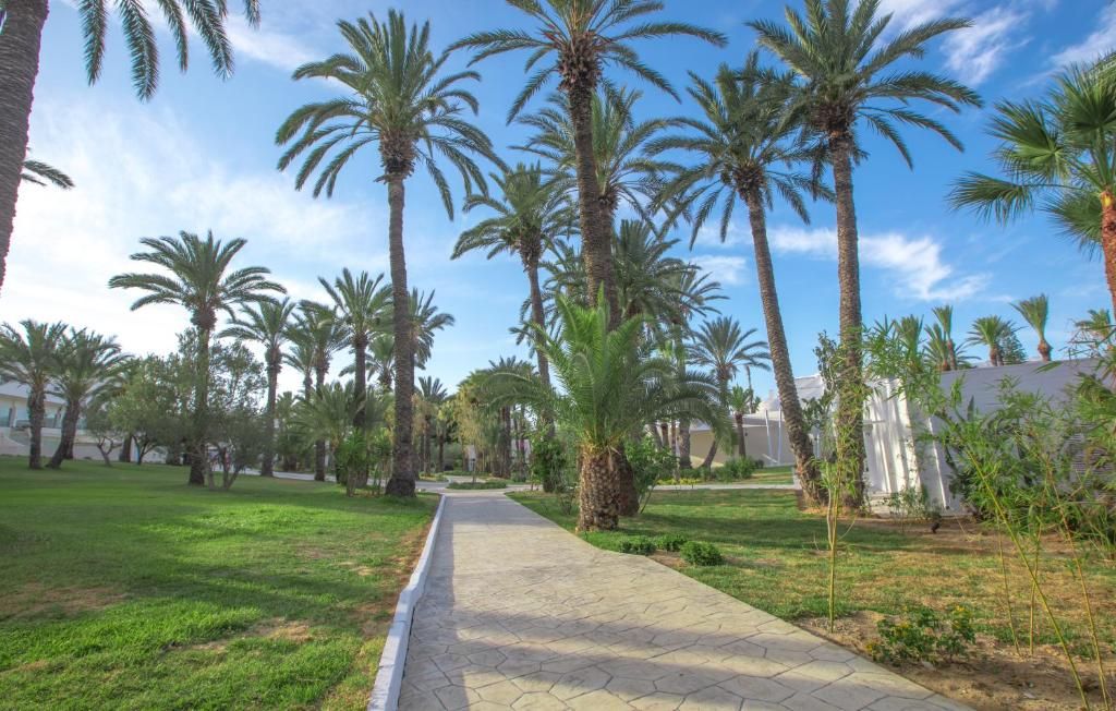 Occidental Sousse Marhaba фото 67