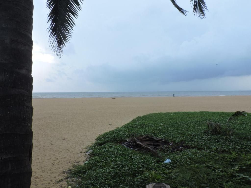 Oasis Beach Resort фото 25