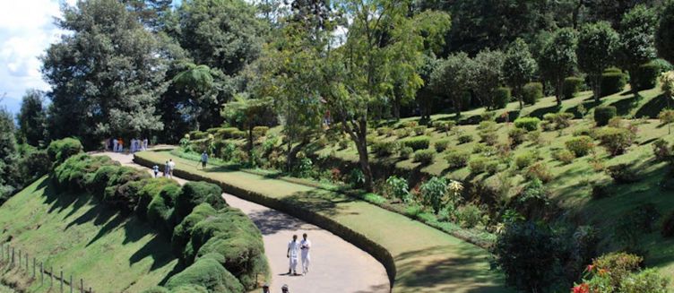 Фото отеля Heaven Seven Nuwara Eliya
