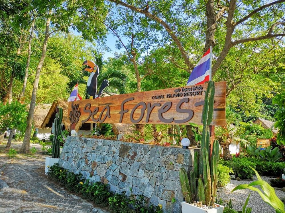 Coral Island Resort фото 69