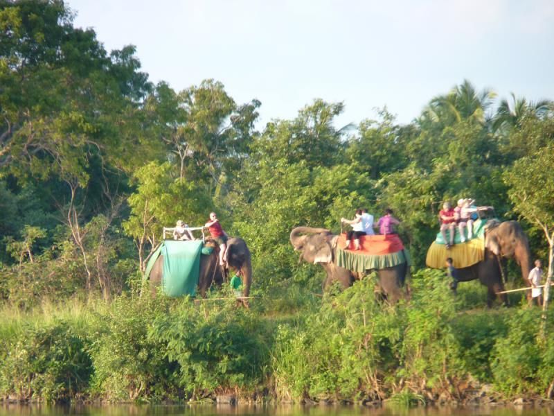 Habarana Village by Cinnamon фото 7