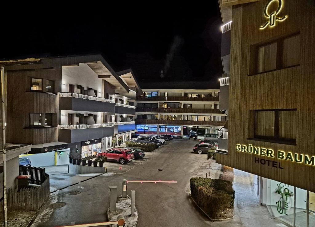Gruener Baum Hotel фото 18