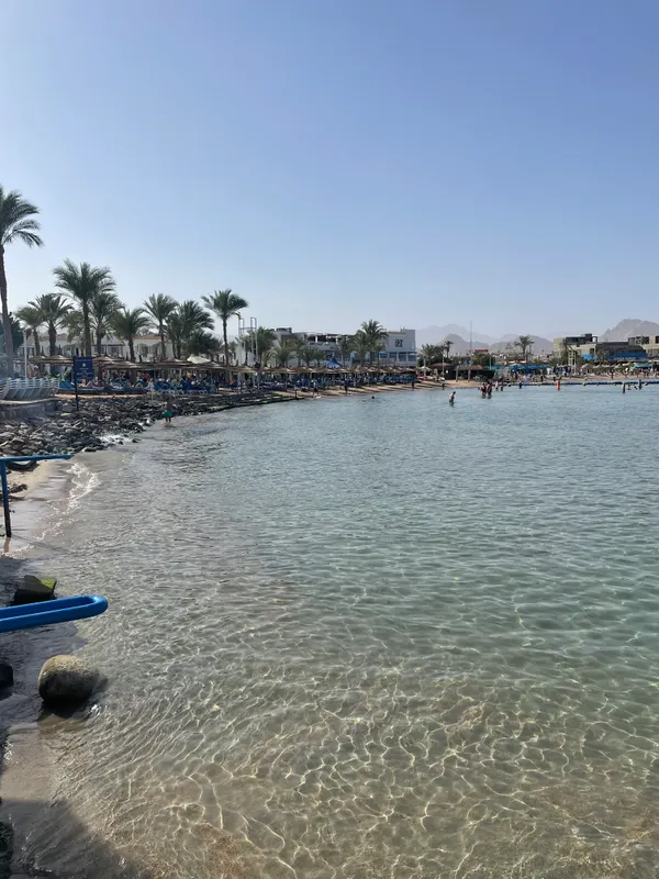 Jaz Neo Naama Bay фото 43