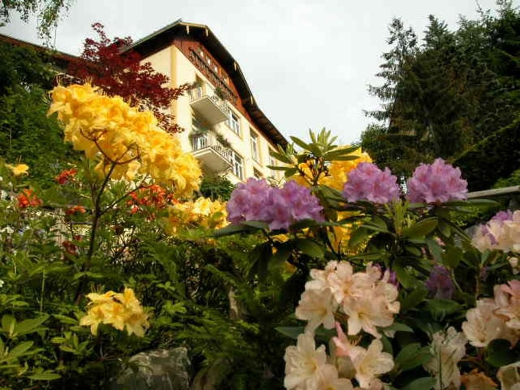 Hotel Alpenblick фото 19