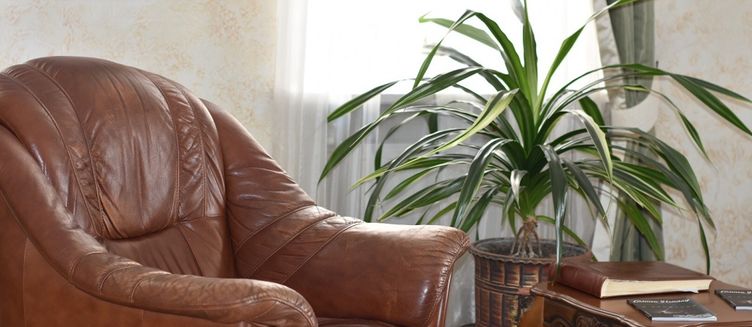 Фото отеля Hotel Dakkar