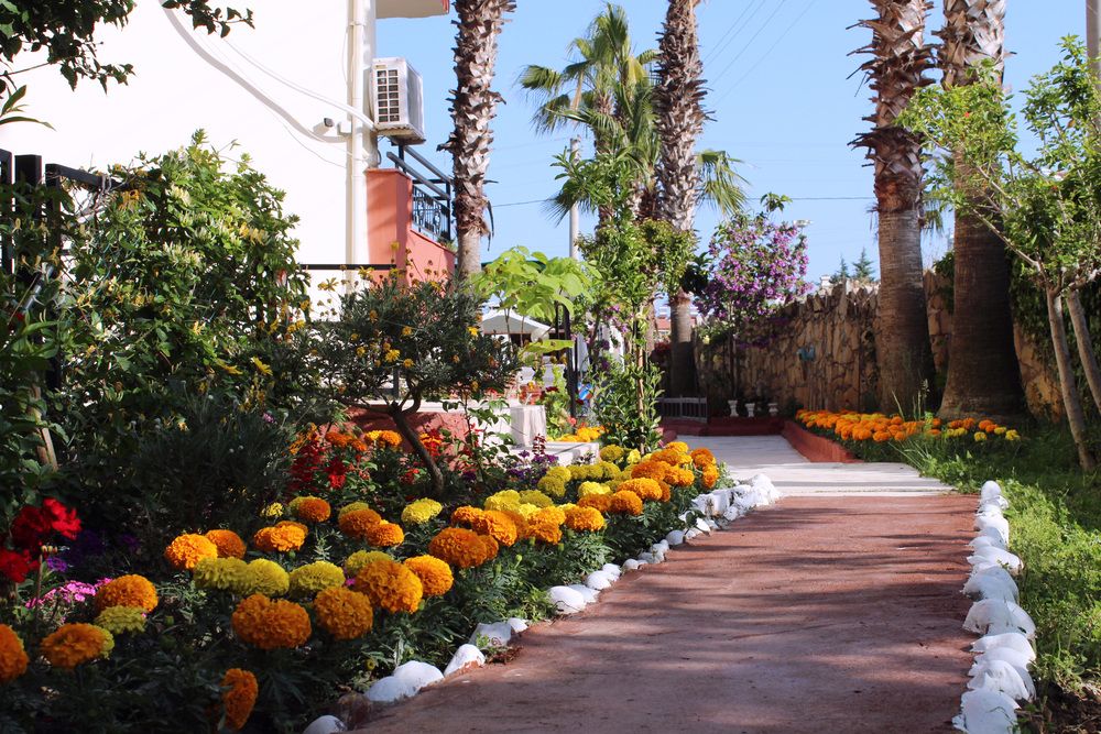 Semoris Hotel Side фото 29