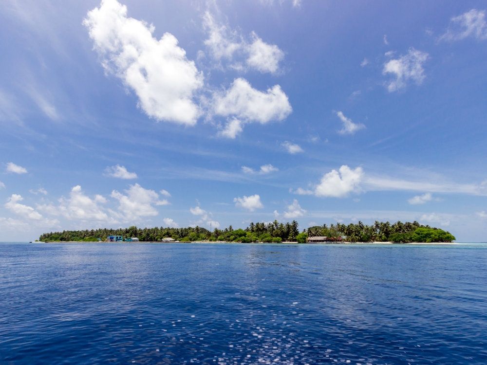Guest House ««Plumeria Maldives» Guest House» фото 81
