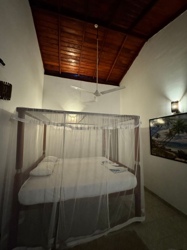 Guest House ««Tropicana» Guest House» фото 16