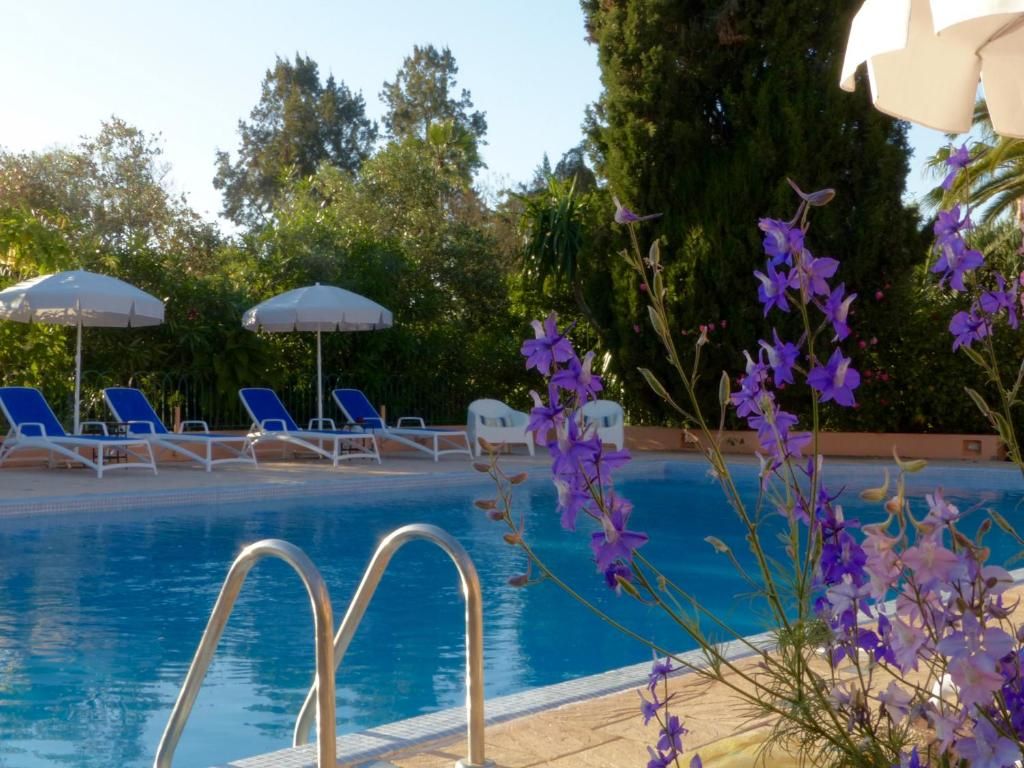 Villa Mandarine фото 14