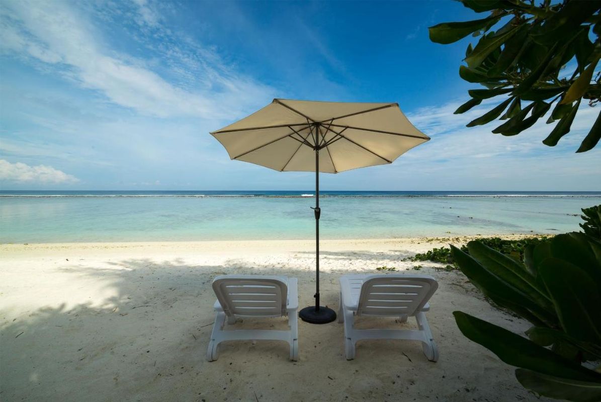 Guest House «The White Harp Beach Guest House» фото 10