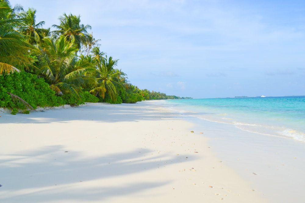 Guest House «TME Retreats Dhigurah Guest House» фото 71
