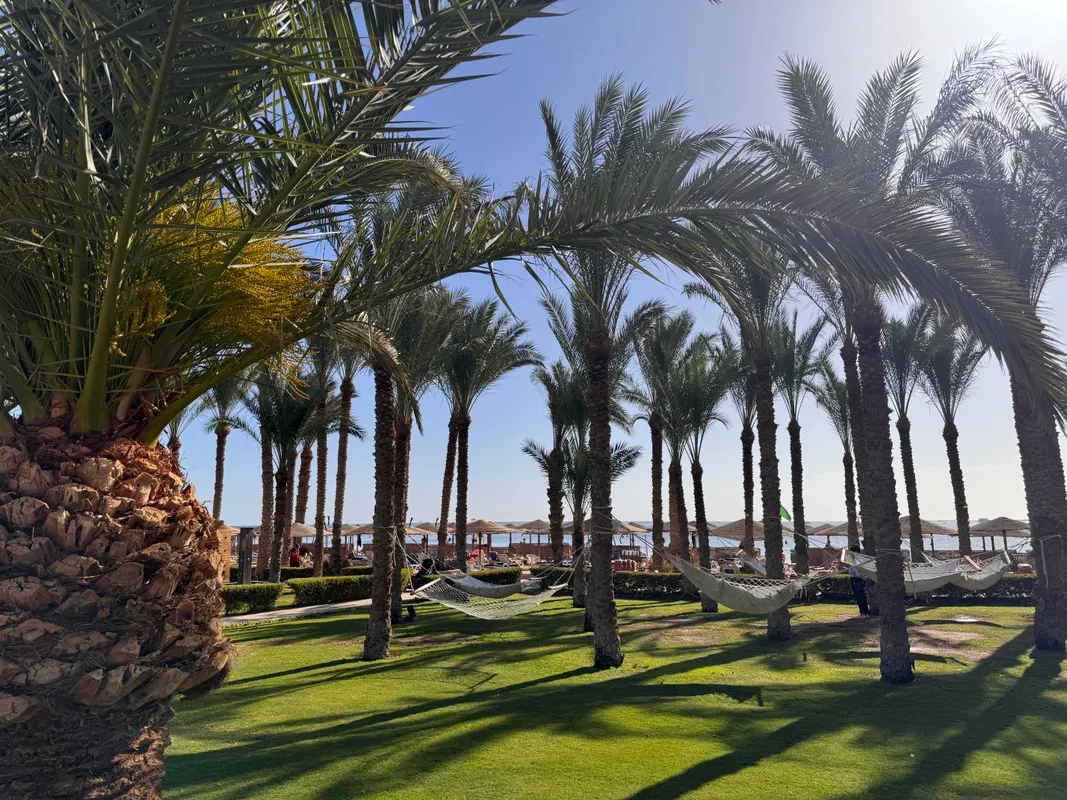 Fort Arabesque Resort, Spa & Villas фото 42