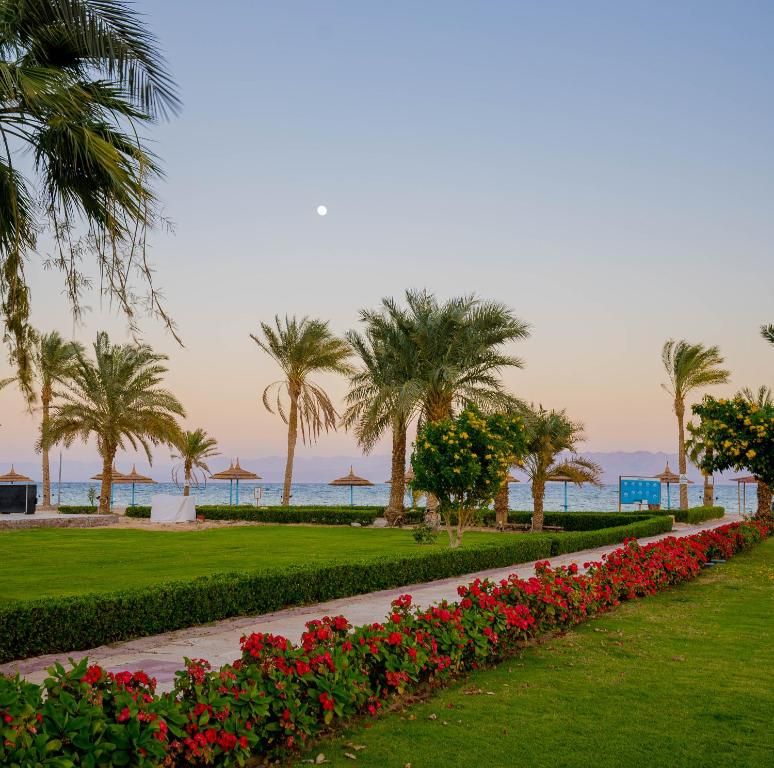 Nuweiba Club Resort фото 62