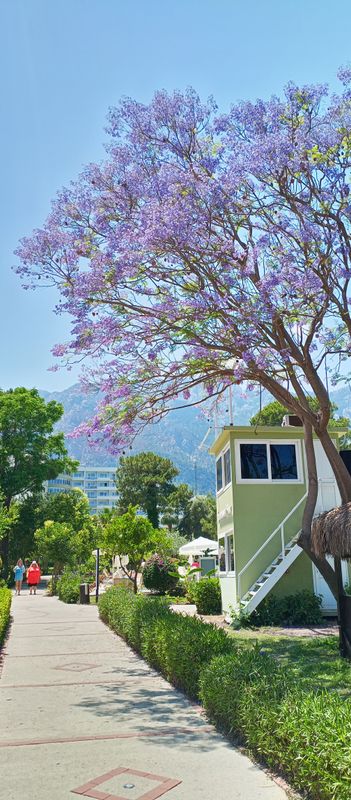 Ma Biche Kemer by Werde Hotels фото 85