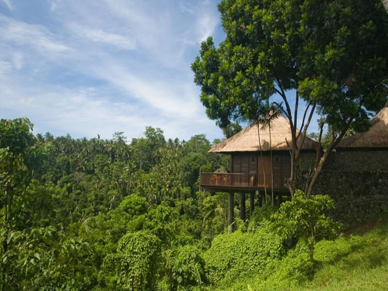 Alila Ubud фото 27