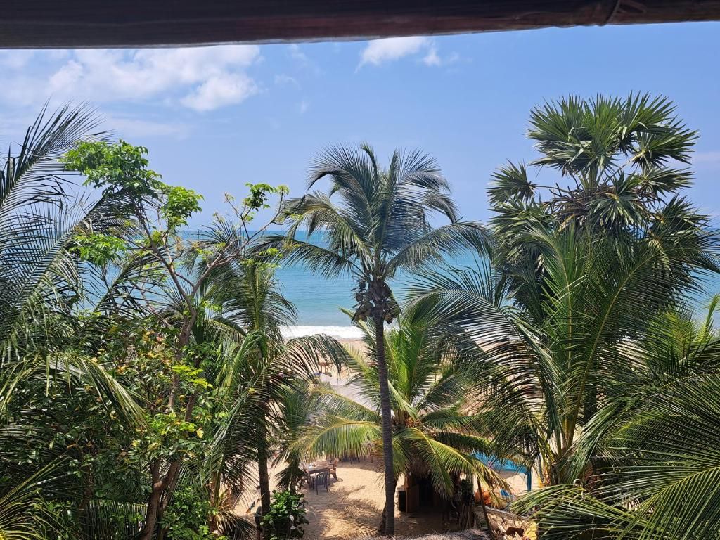 Guest House «The Surf Access Guest House» фото 12